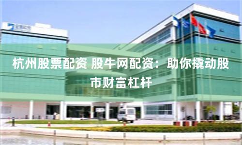 杭州股票配资 股牛网配资：助你撬动股市财富杠杆