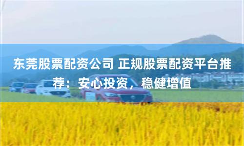 东莞股票配资公司 正规股票配资平台推荐：安心投资，稳健增值