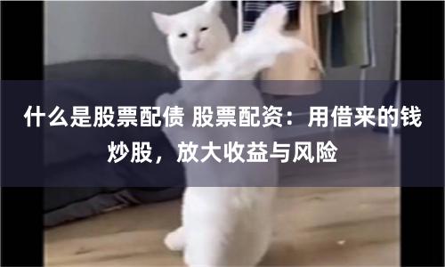什么是股票配债 股票配资：用借来的钱炒股，放大收益与风险