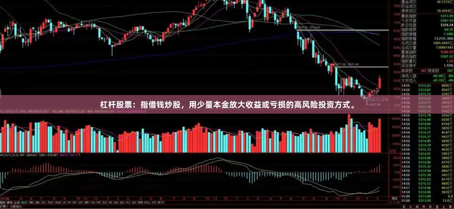 杠杆股票：指借钱炒股，用少量本金放大收益或亏损的高风险投资方式。