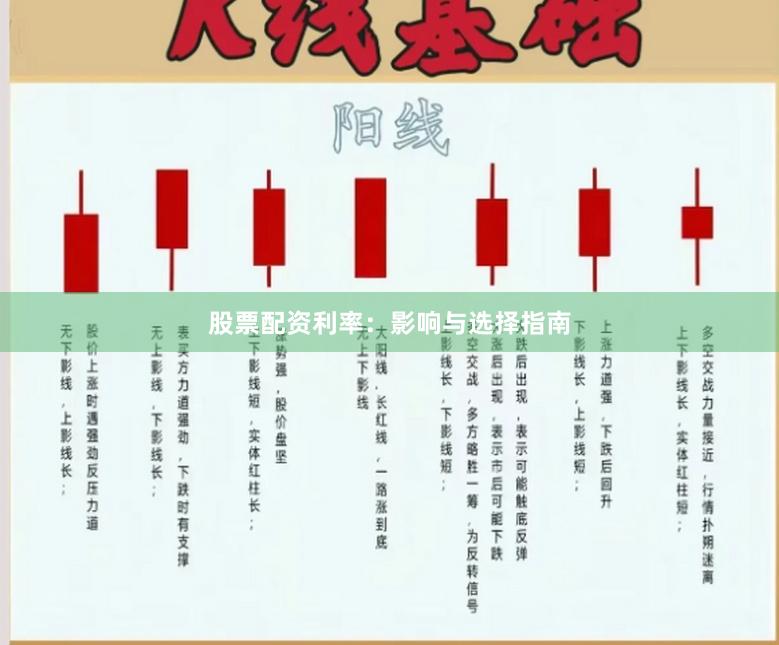 股票配资利率：影响与选择指南